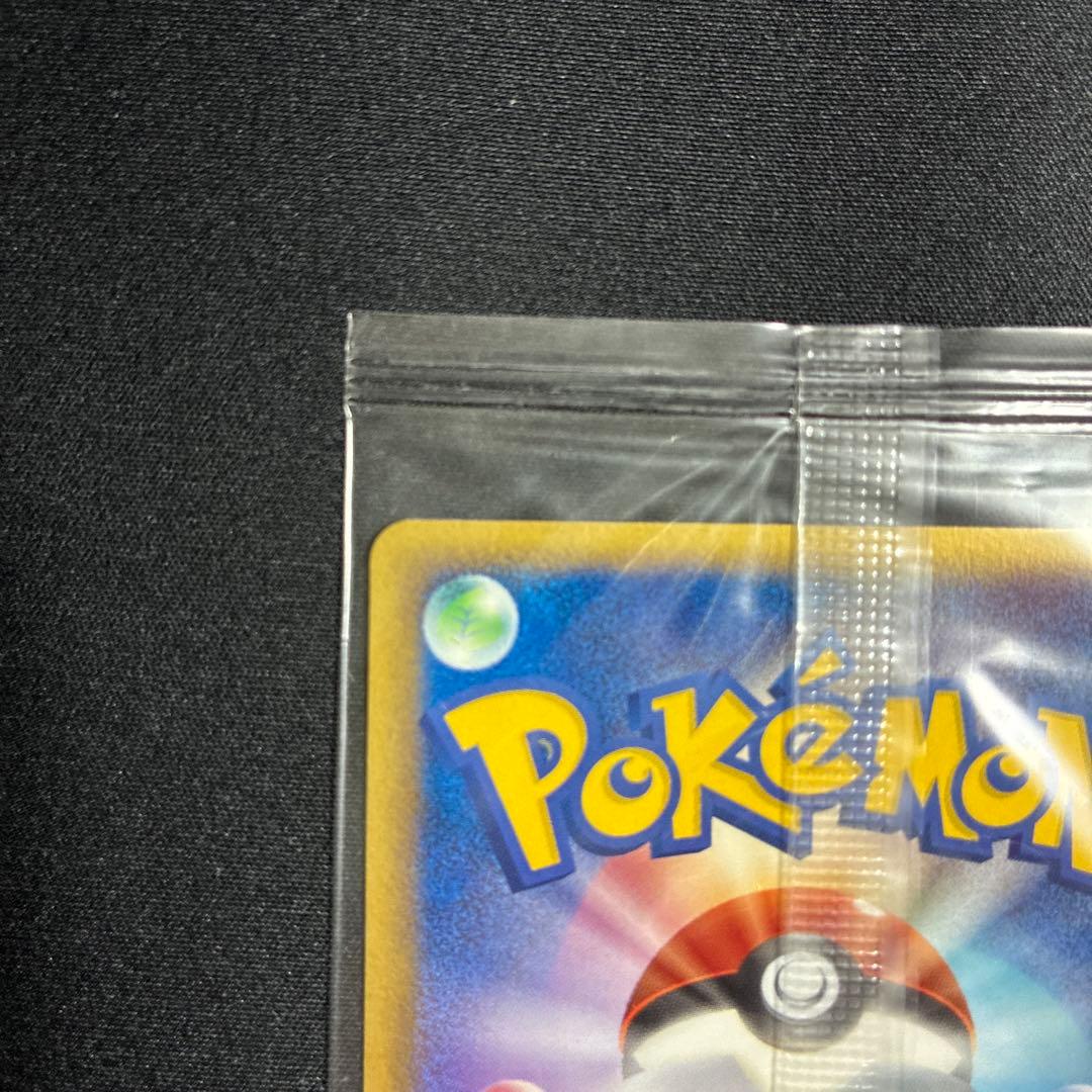 未開封　波動のルカリオ　ポケモンカード　ポケパーク　プロモ　ポケカ