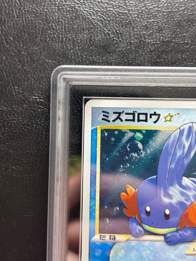 【ARS AU 真贋鑑定】ミズゴロウ⭐︎ ゴールドスター 033/084 色違い