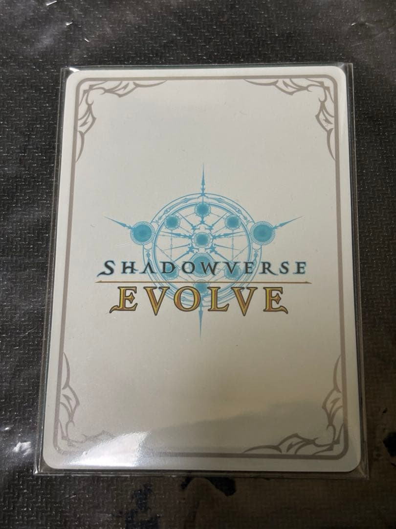 万華の鳳凰・ほーちゃん リーダー