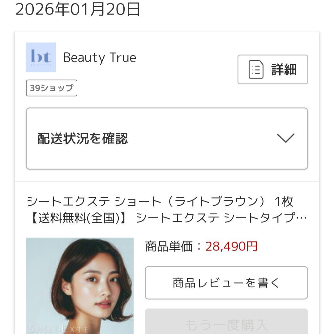 シートエクステ ショート ライトブラウン 1枚