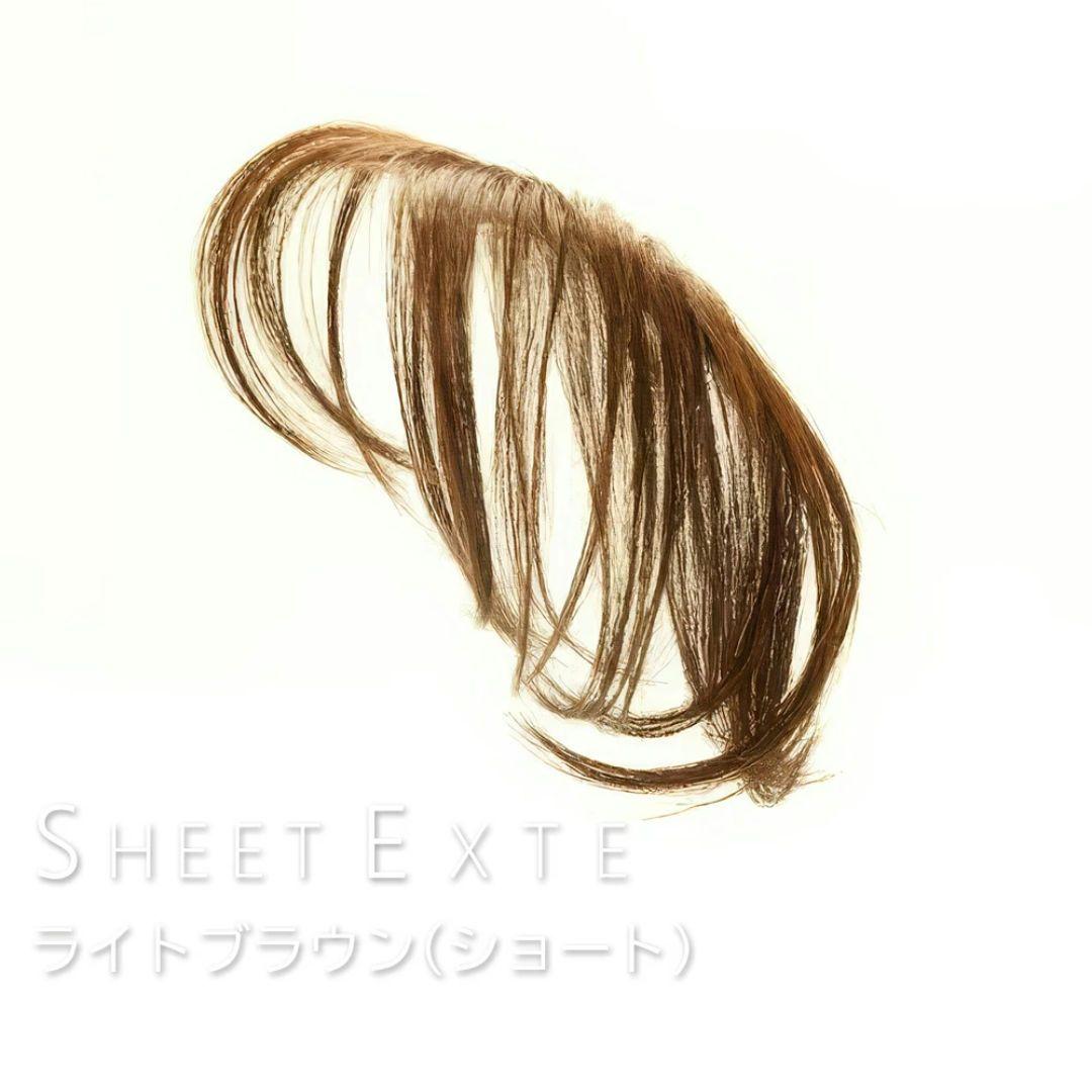 シートエクステ ショート ライトブラウン 1枚