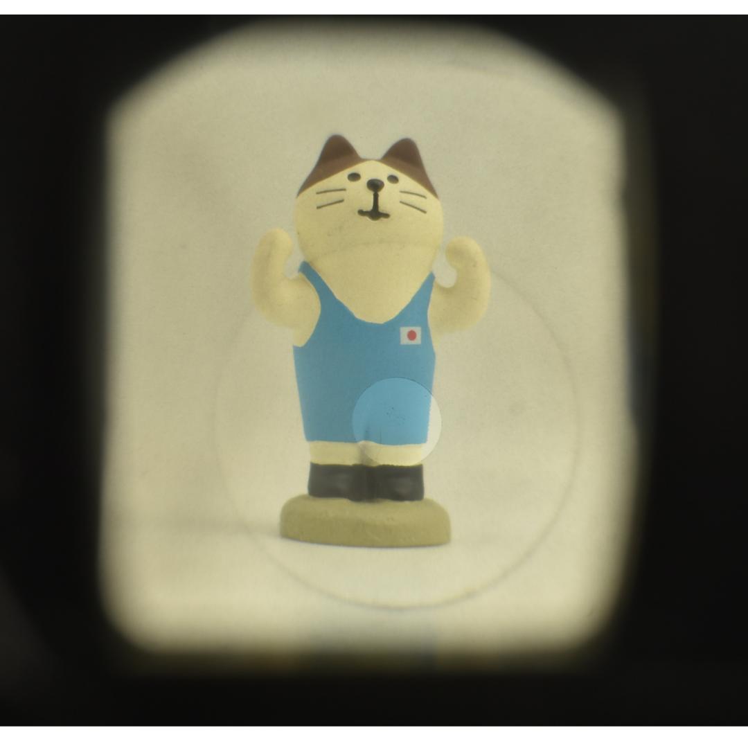 整備済 Olympus PEN FT 38mm F1.8 TTL 露出計OK