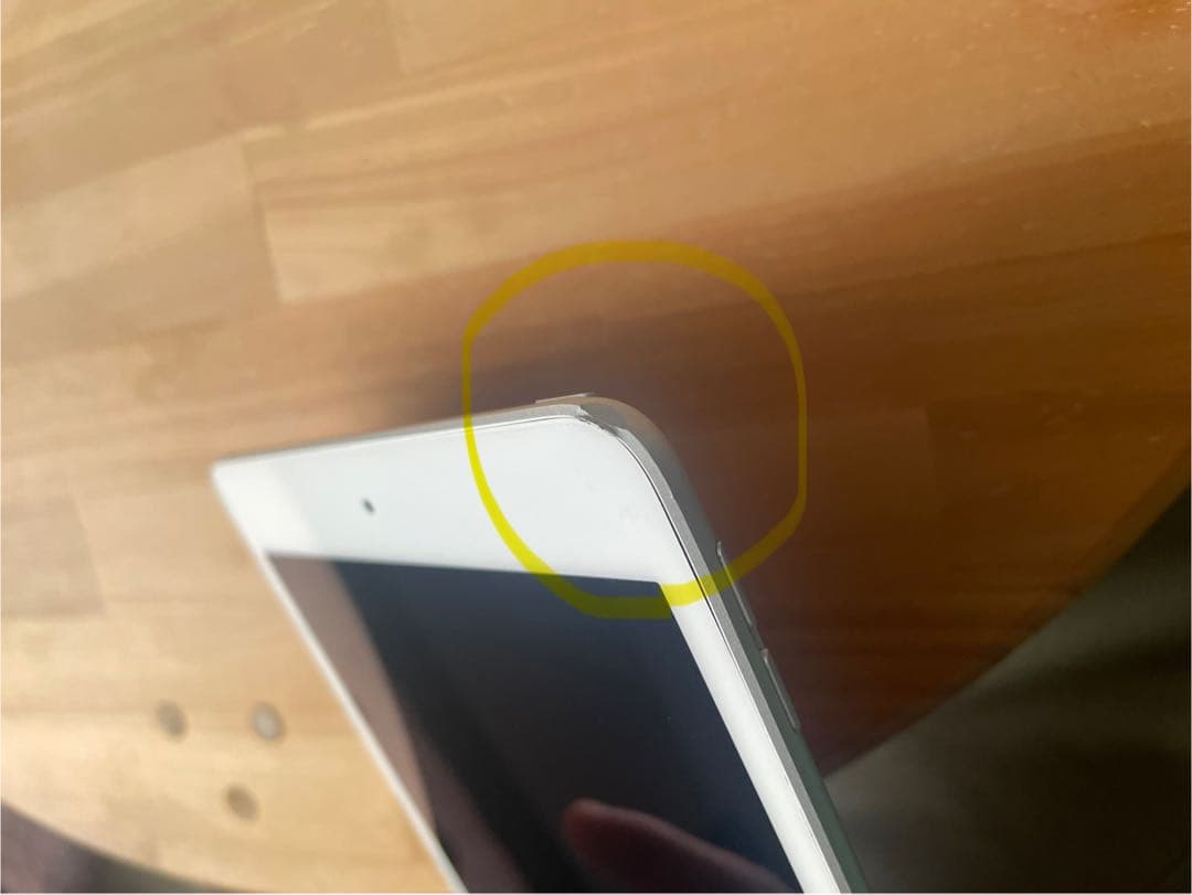 iPad本体 Apple iPad mini5