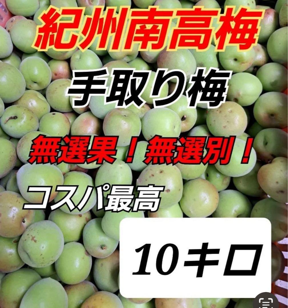 あんこ　南高梅　１０キロ