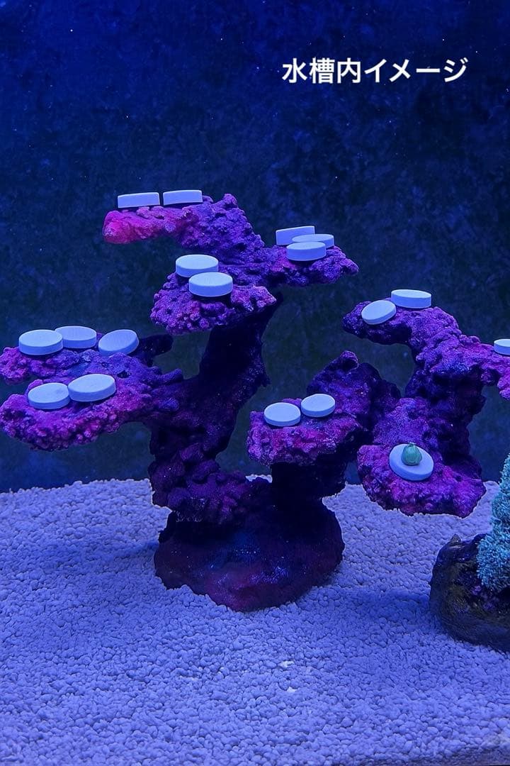 【送料無料】人工ライブロック　PHR24／18穴加工　アク抜き済み安心塗料使用