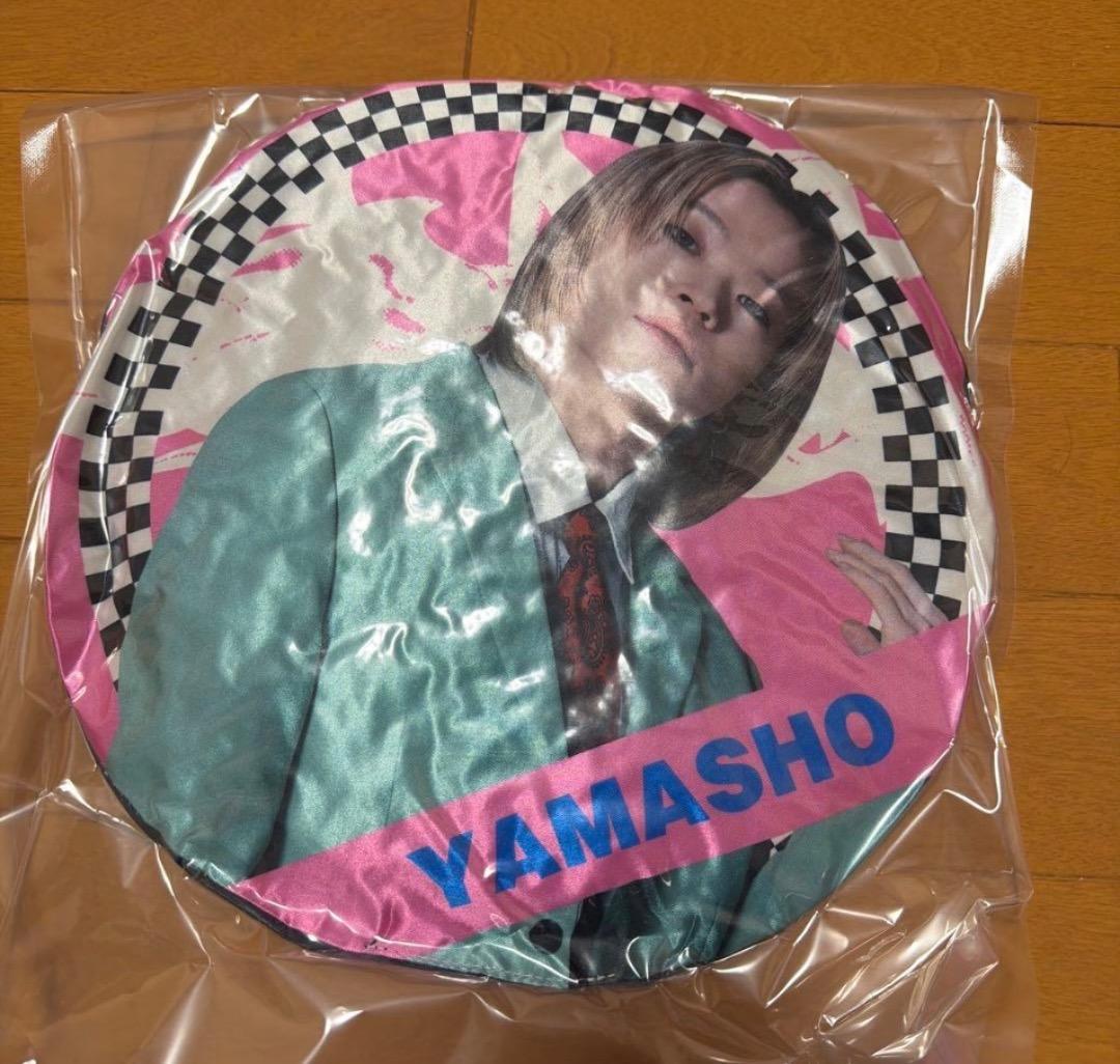 山本彰吾 クッション