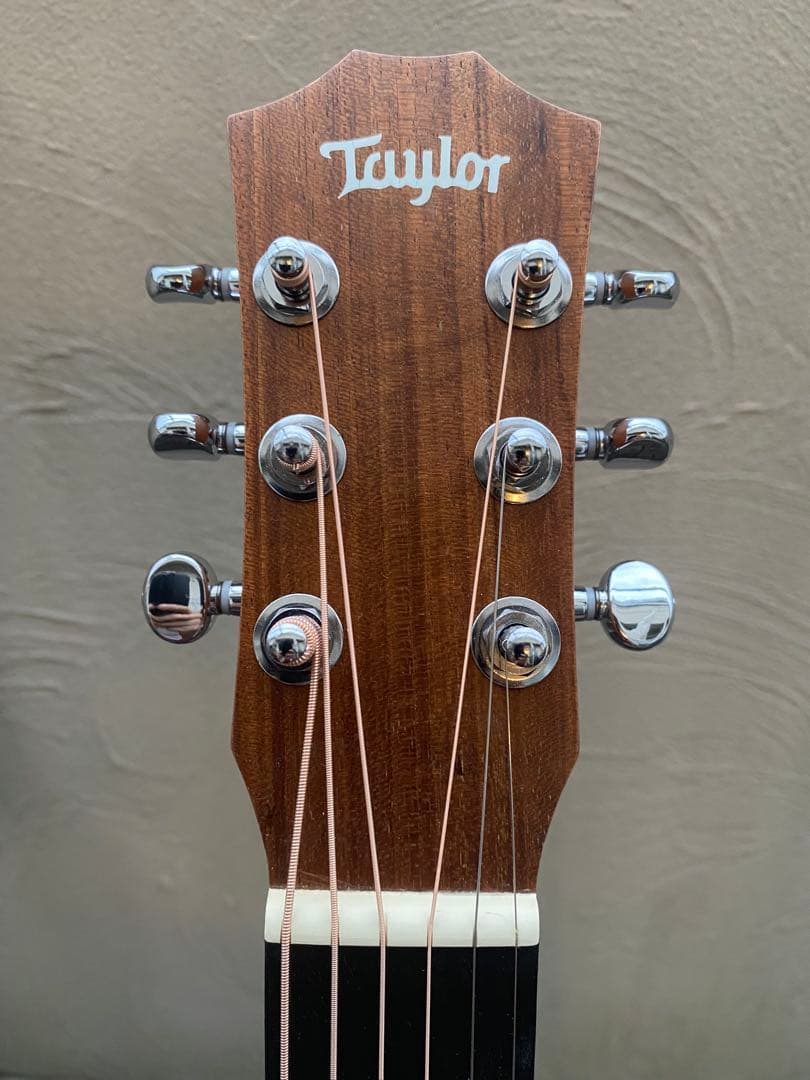 Taylor Baby Mahogany BT2 (3/4スケール)