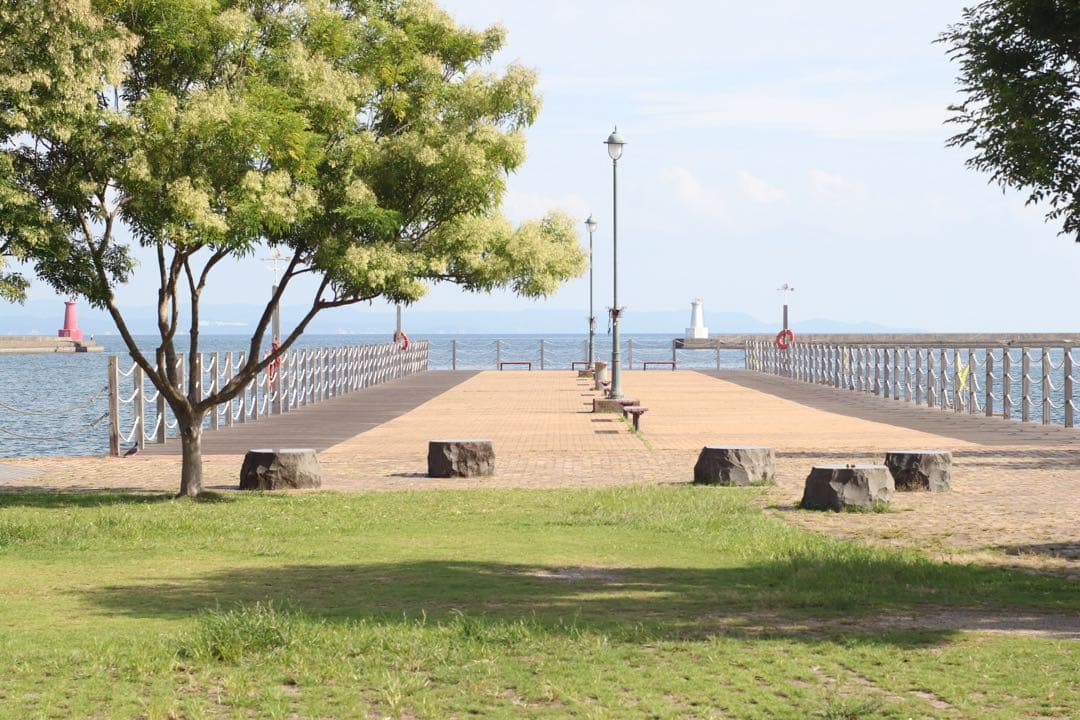 ★希少★ OLYMPUS \"M-SYSTEM\" 標準レンズ 50mm F1.4