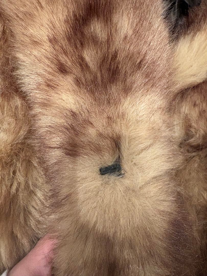 MANGO ブラウン ファーコート ショート丈