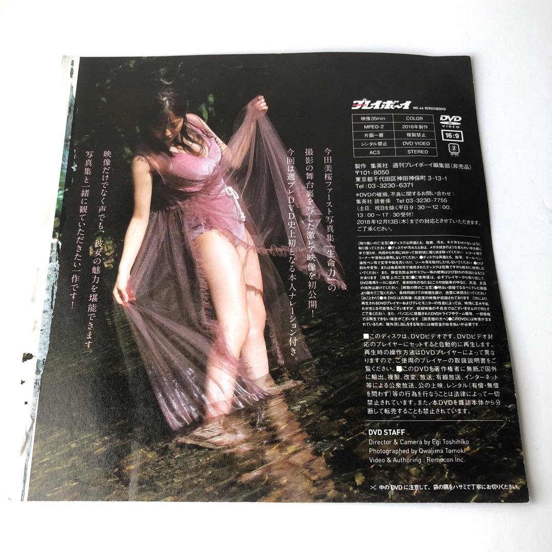 今田美桜DVD2枚セット蕾がひらく Re:生命力 いまだみお 朝田のぶ あんぱん