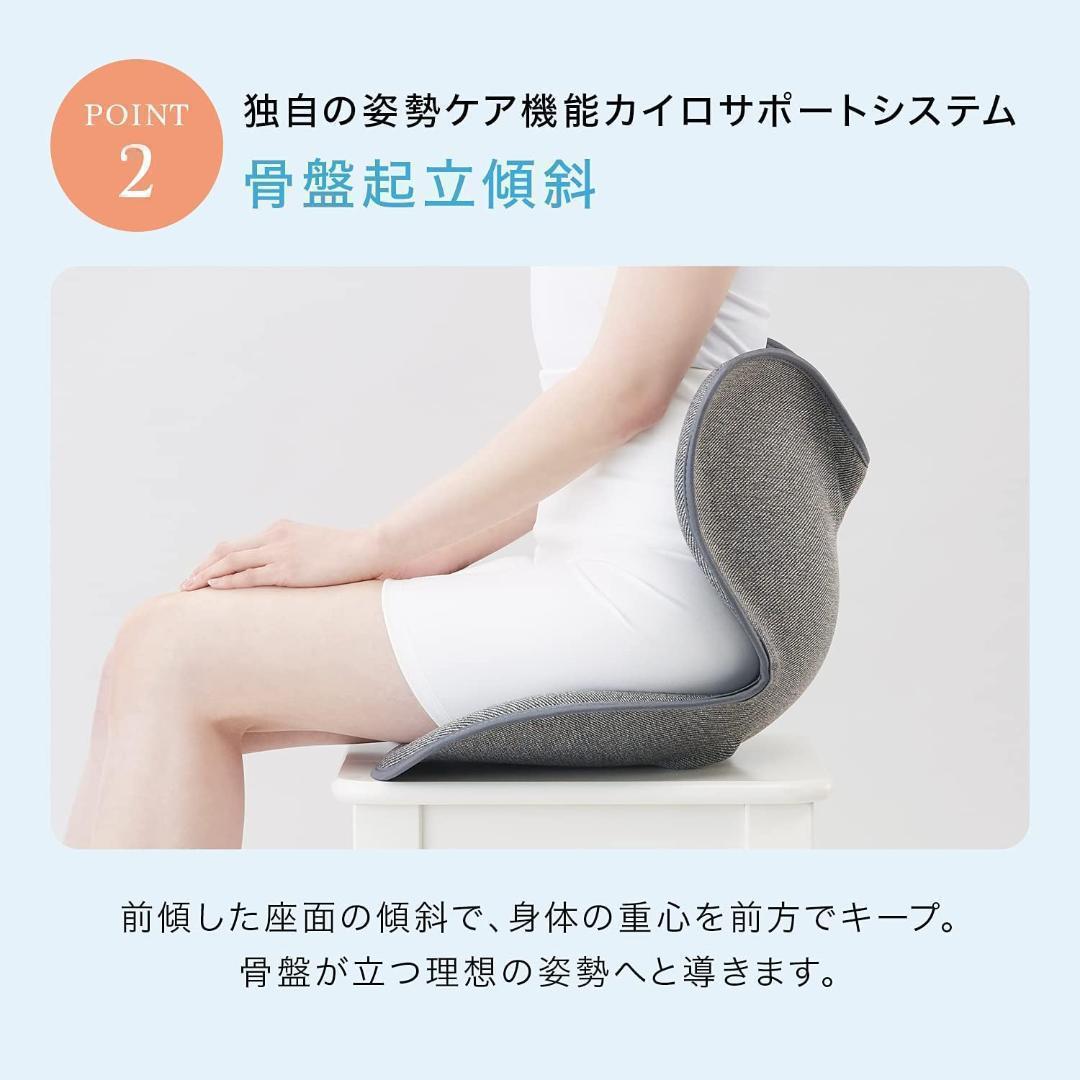 スタイル スタンダード 座椅子 ネイビー F01 MTG 純正品 姿勢矯正 骨盤