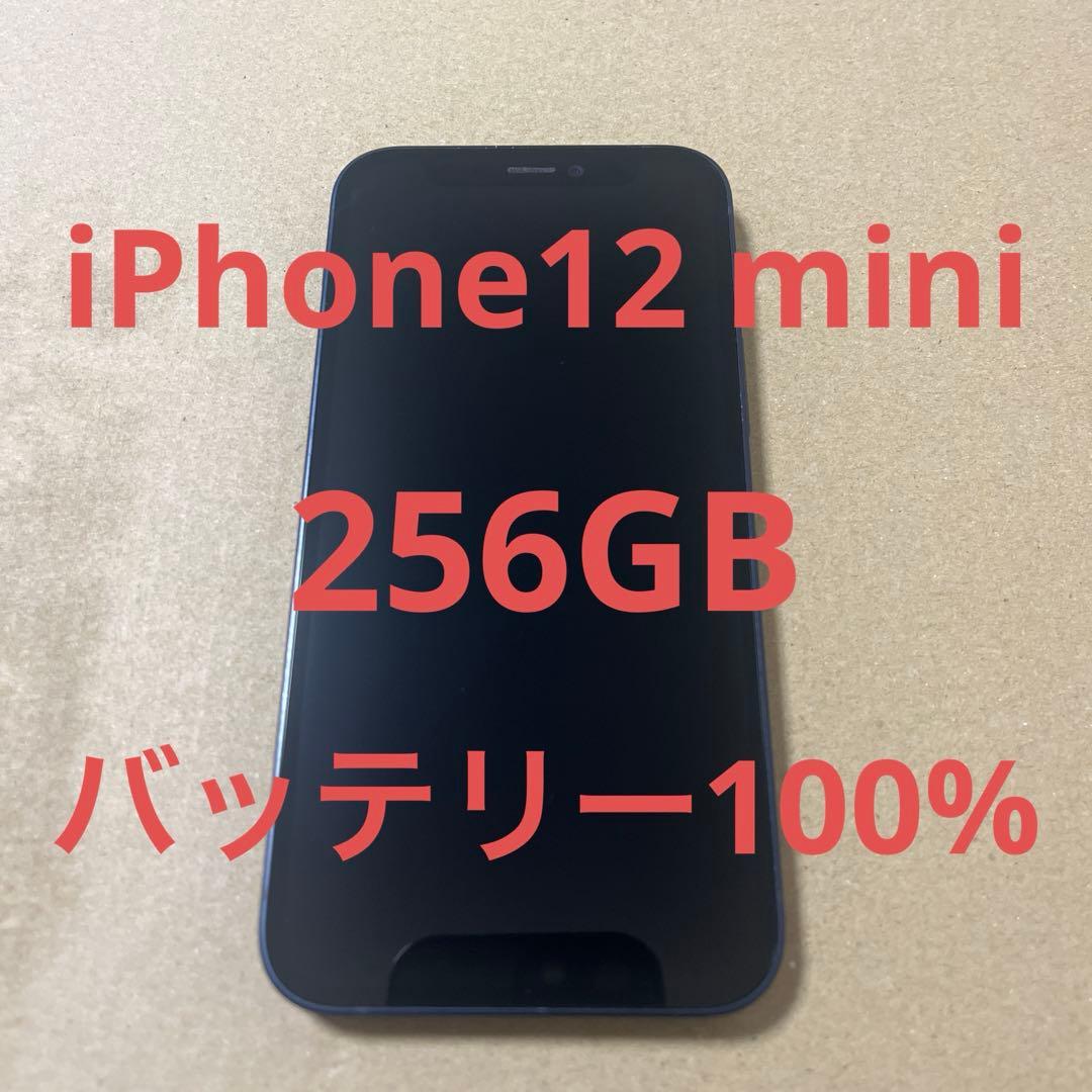 iPhone12mini 256GB ブラック