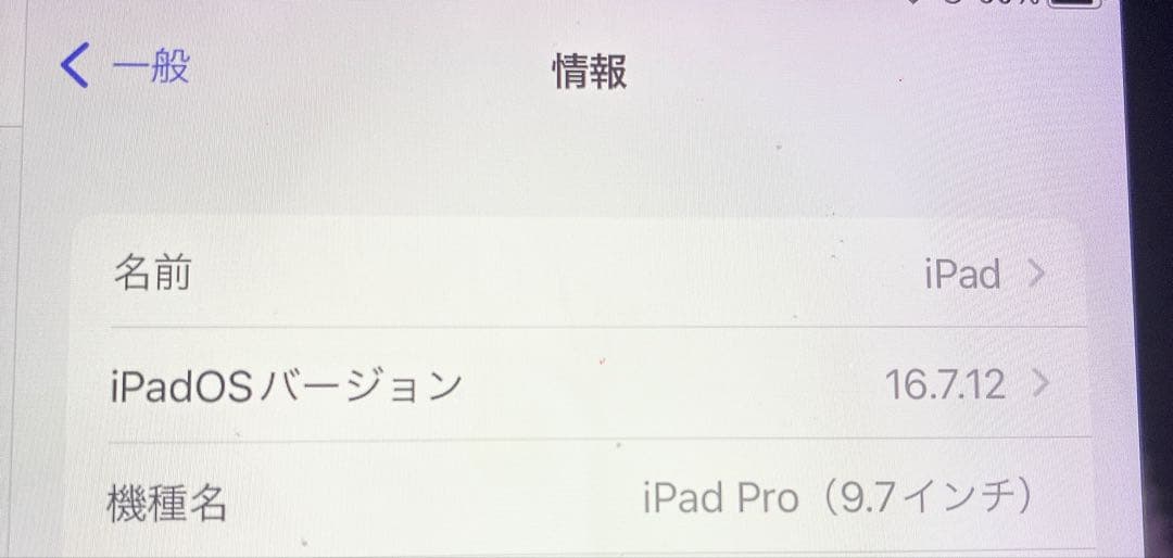 Apple iPad Pro (9.7インチ) シルバー