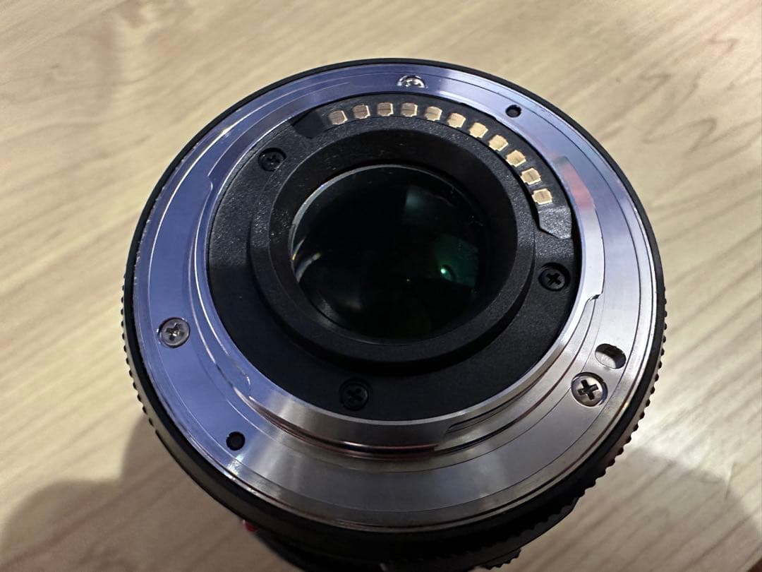 美品★LUMIX G X VARIO PZ 45-175mm