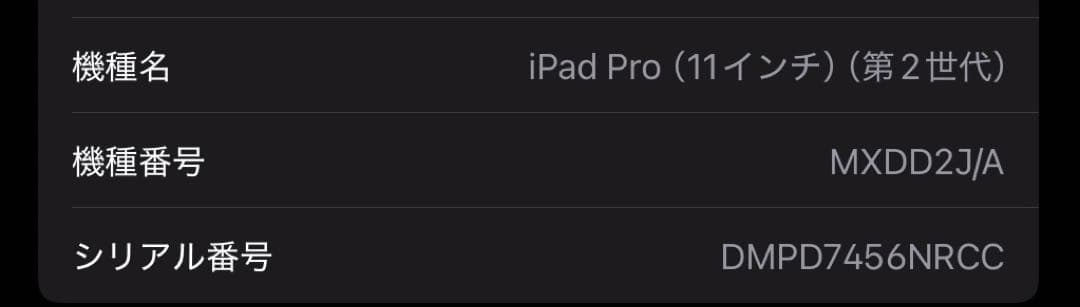 iPadpro11インチ　Wi-Fiモデル　256GB Apple pencil
