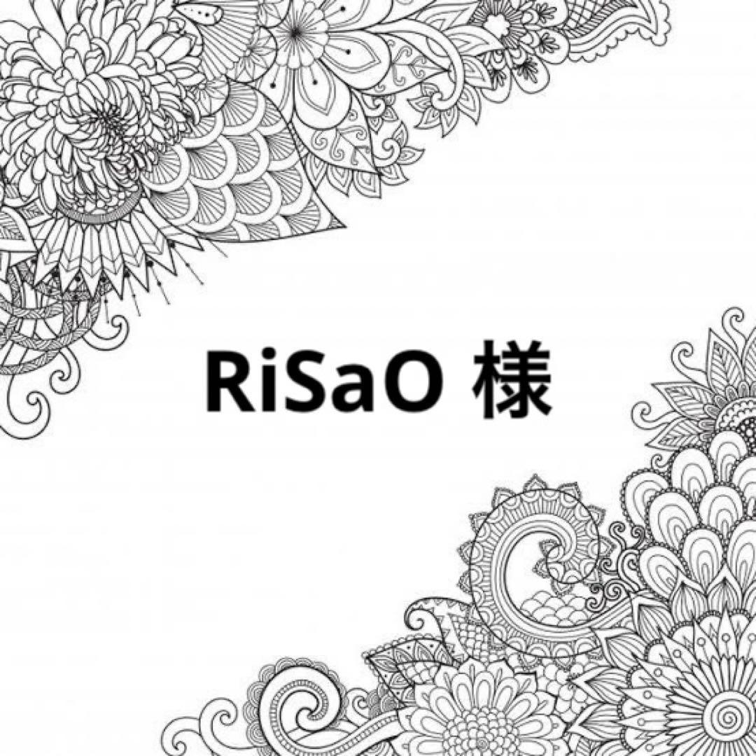 RiSaOページ★