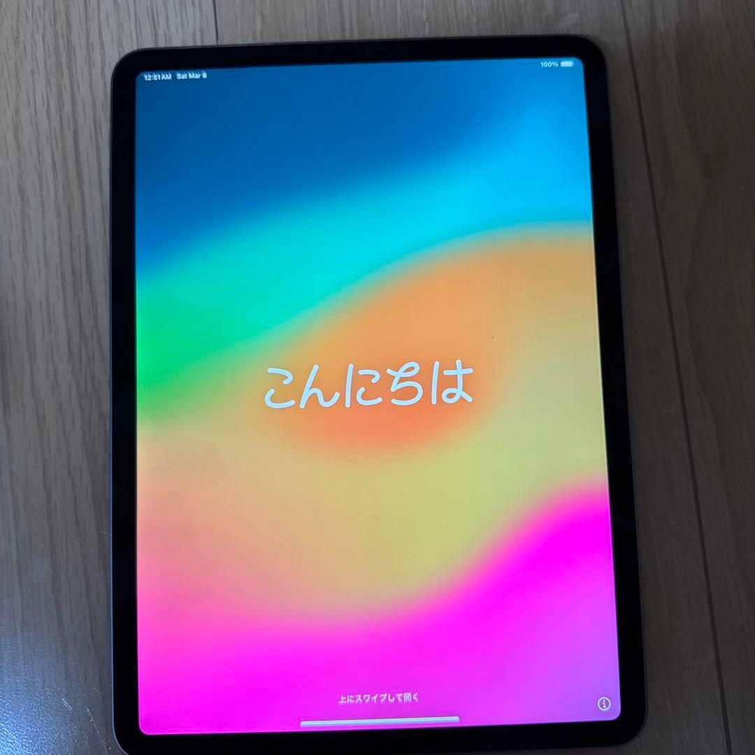 iPadPro11インチ第3世代256GB wifiモデル