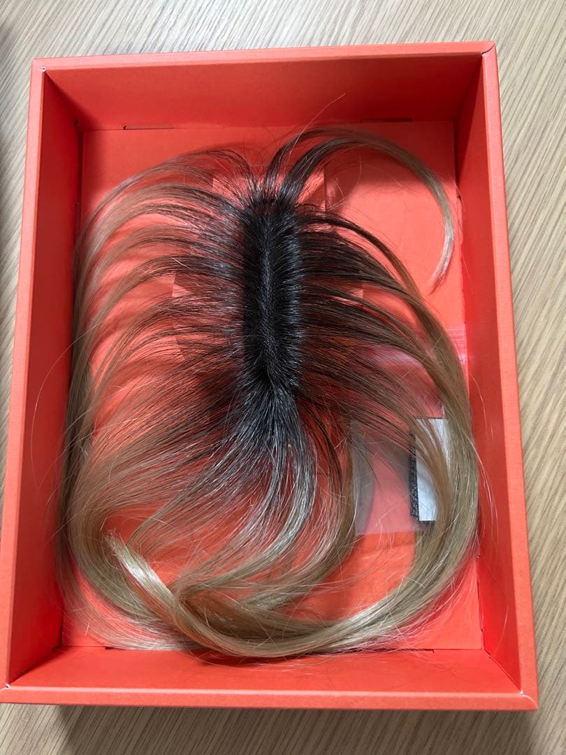 ⭐︎新品未使用Choi⭐︎シートエクステ　ウィッグ