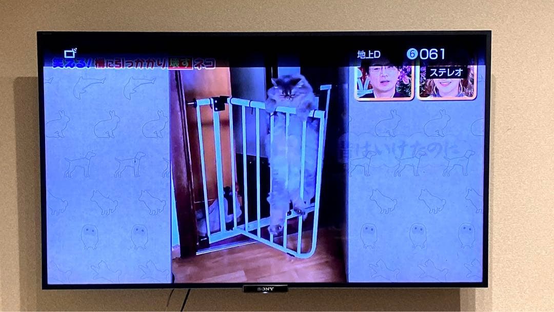 テレビ 4K SONY BRAVIA W900A KDL-55W900A