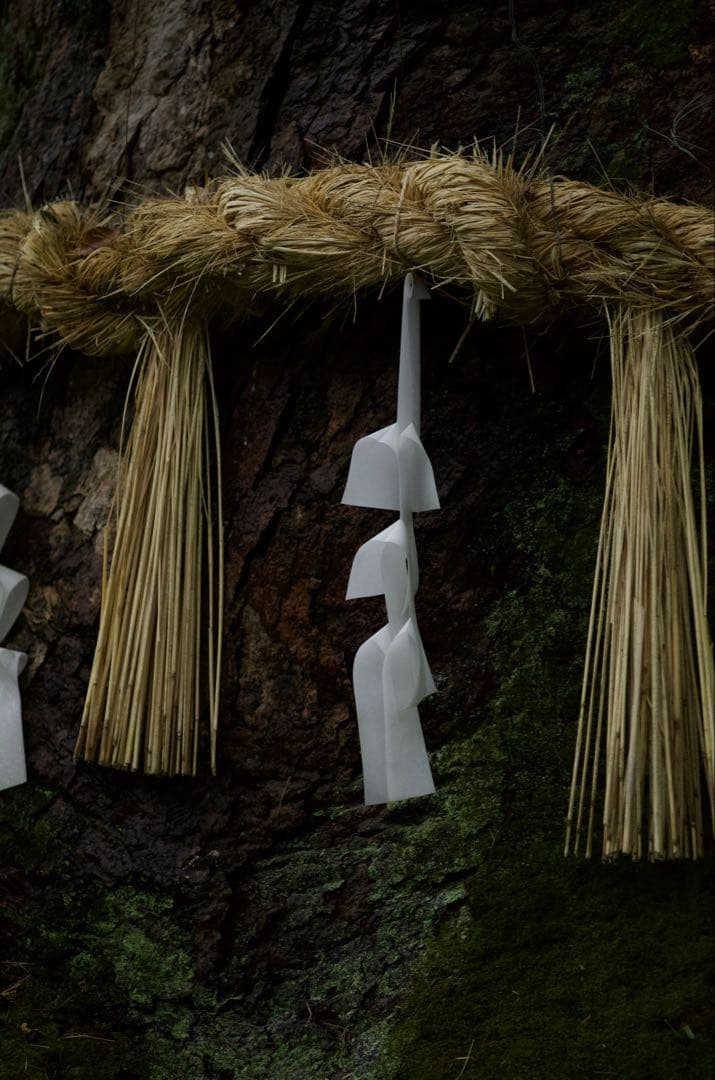 美品 元箱フード付き Leica TELE ELMAR 135mm f4