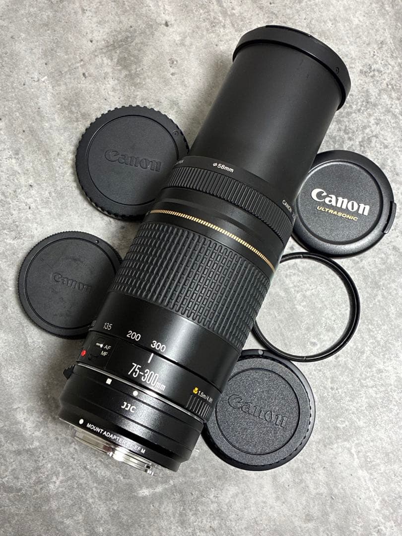 ⭐️美品⭐️Canon EF 75-300 USM & EF-EOS M アダプター