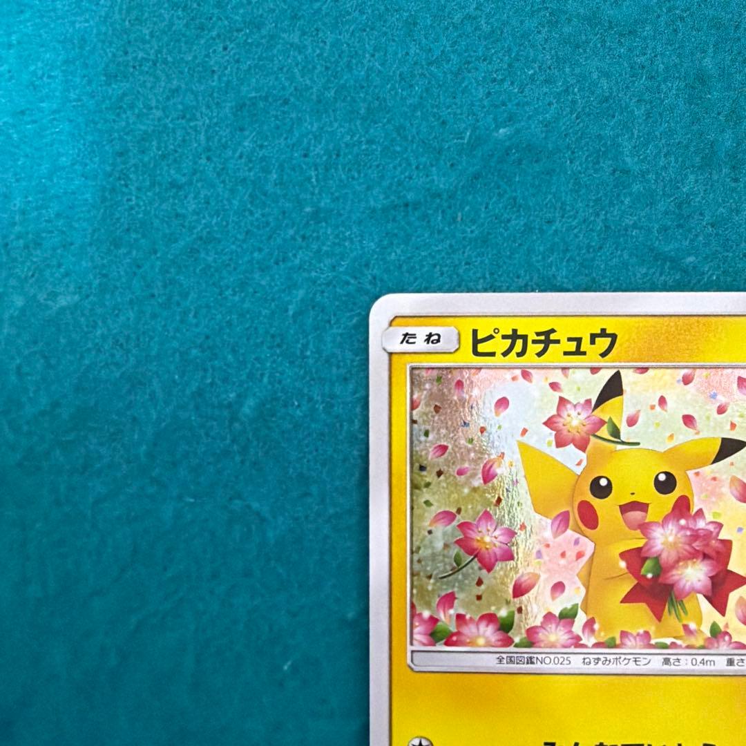ピカチュウ みんなでいわう プロモ 224/sm-p