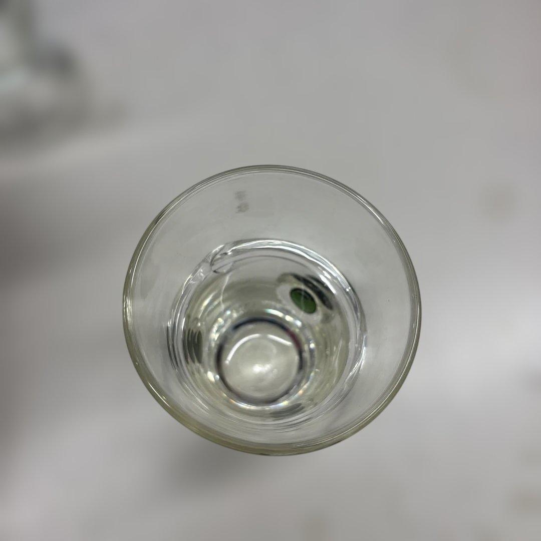 【Y】N10061 舩木倭帆　作　プラントグラス　吹きガラス　Shizu