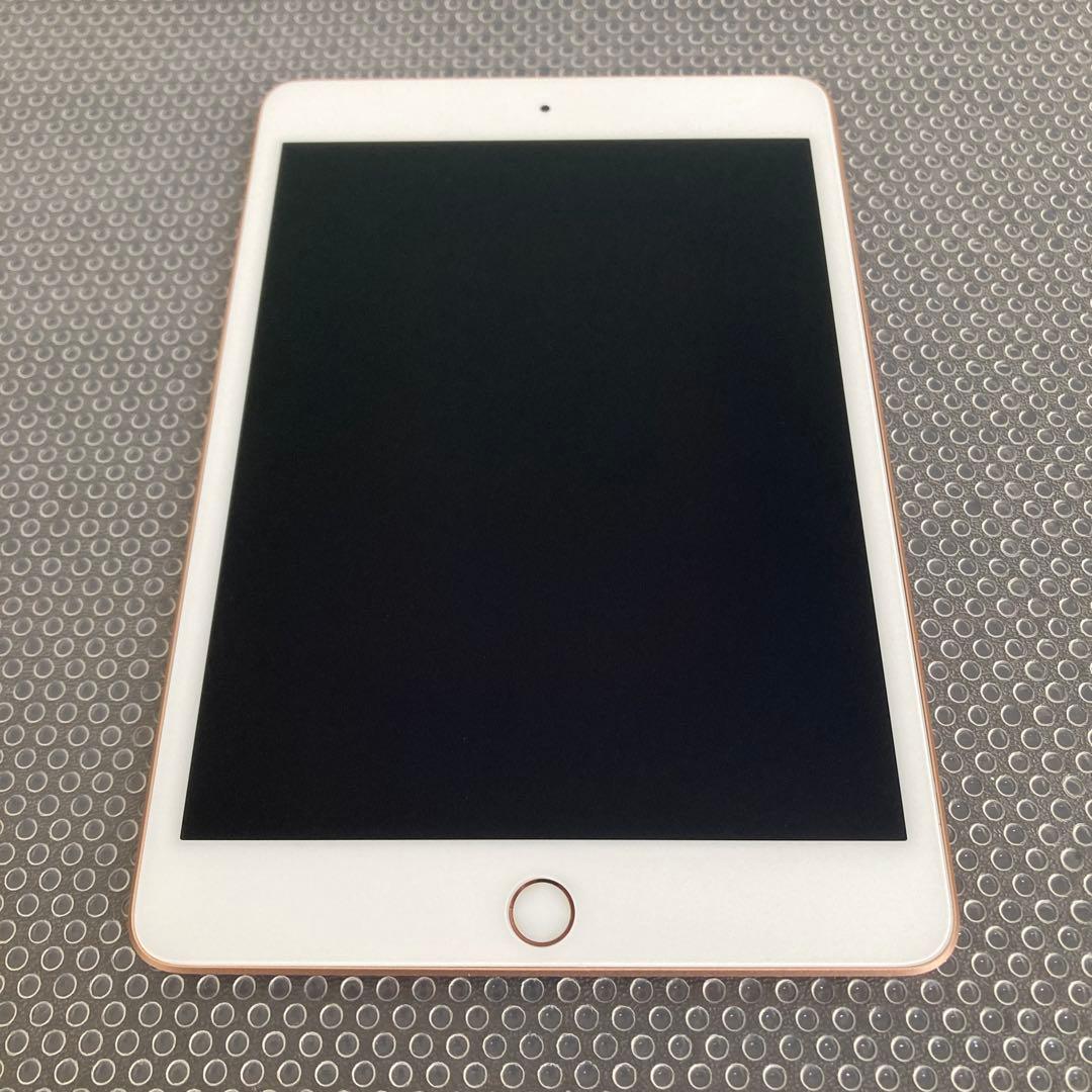 2653【早い者勝ち】美品☆電池良好☆iPad mini5 第5世代 64GB☆