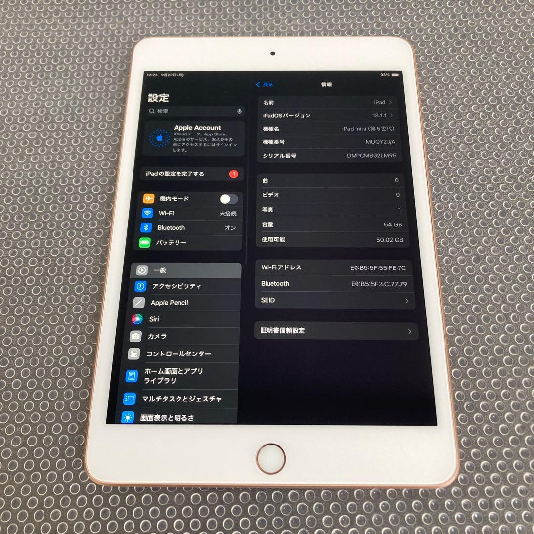 2653【早い者勝ち】美品☆電池良好☆iPad mini5 第5世代 64GB☆