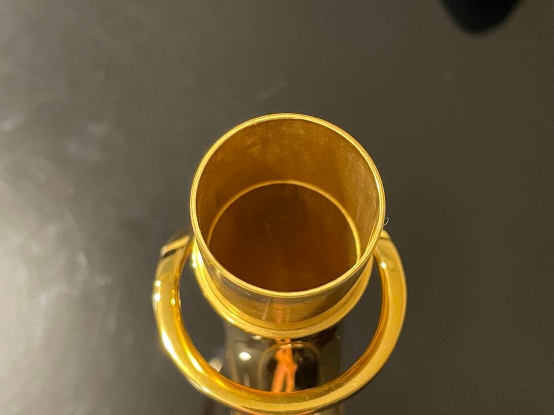 ♫レア⭐︎セルマー seriesⅡ アルトサックス GPネック 彫刻入り♫