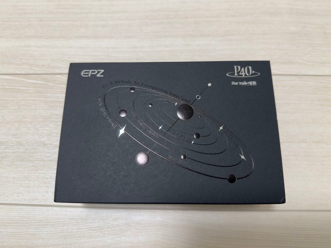 2/13まで出品　　EPZ P40