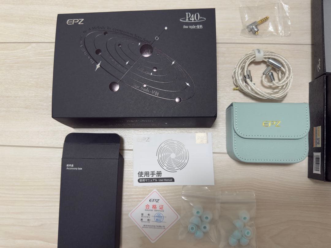 2/13まで出品　　EPZ P40