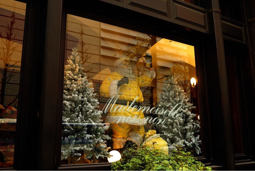 Leica X1 ライカ APS-C 名機｜動作確認済｜状態良好・現状品