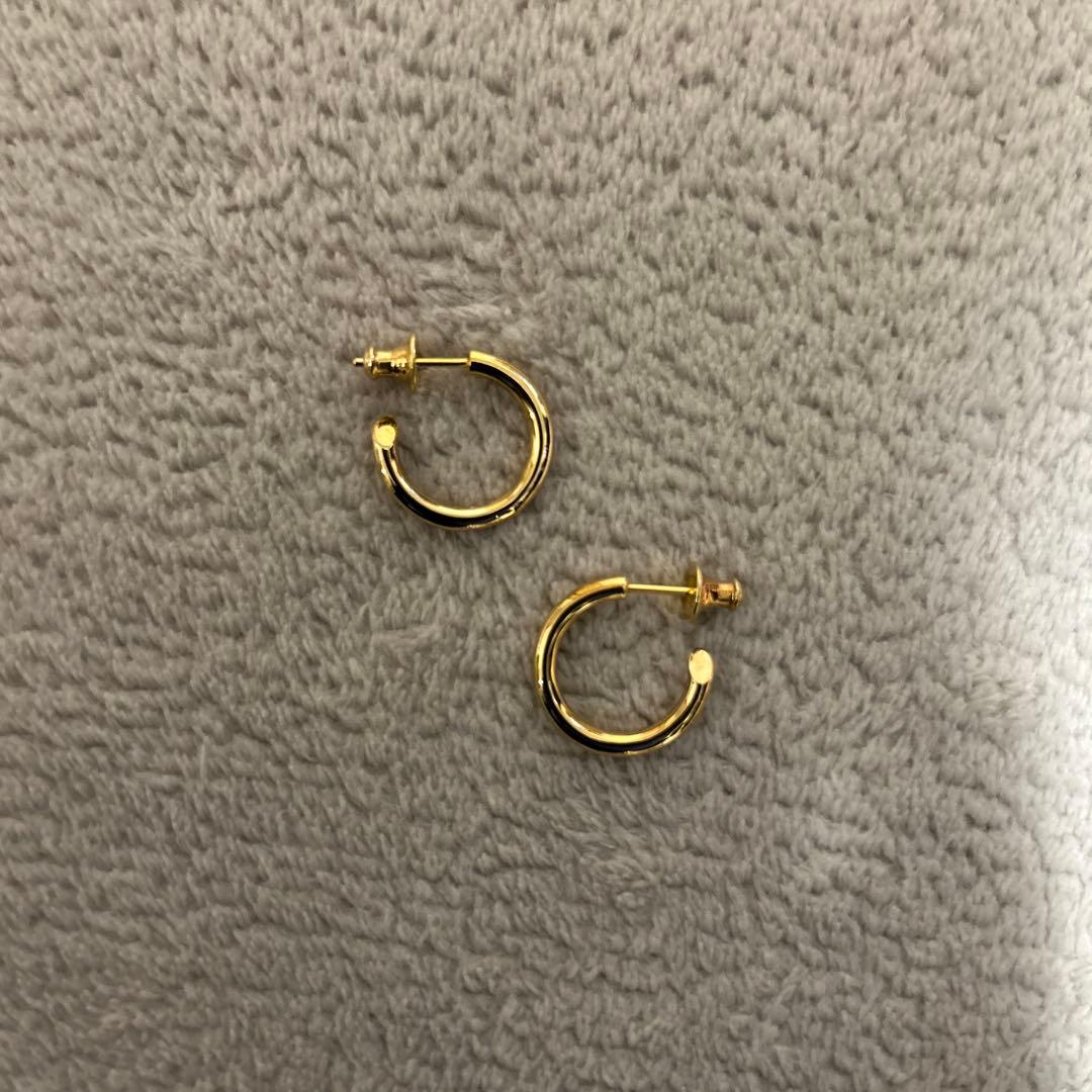 CAREERING PLACEBO 301 キャリアリング　ピアス