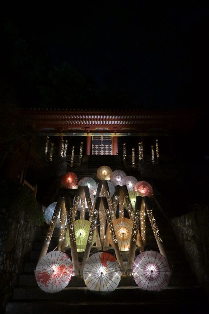 Nikon Z fc 16-50 レンズキット