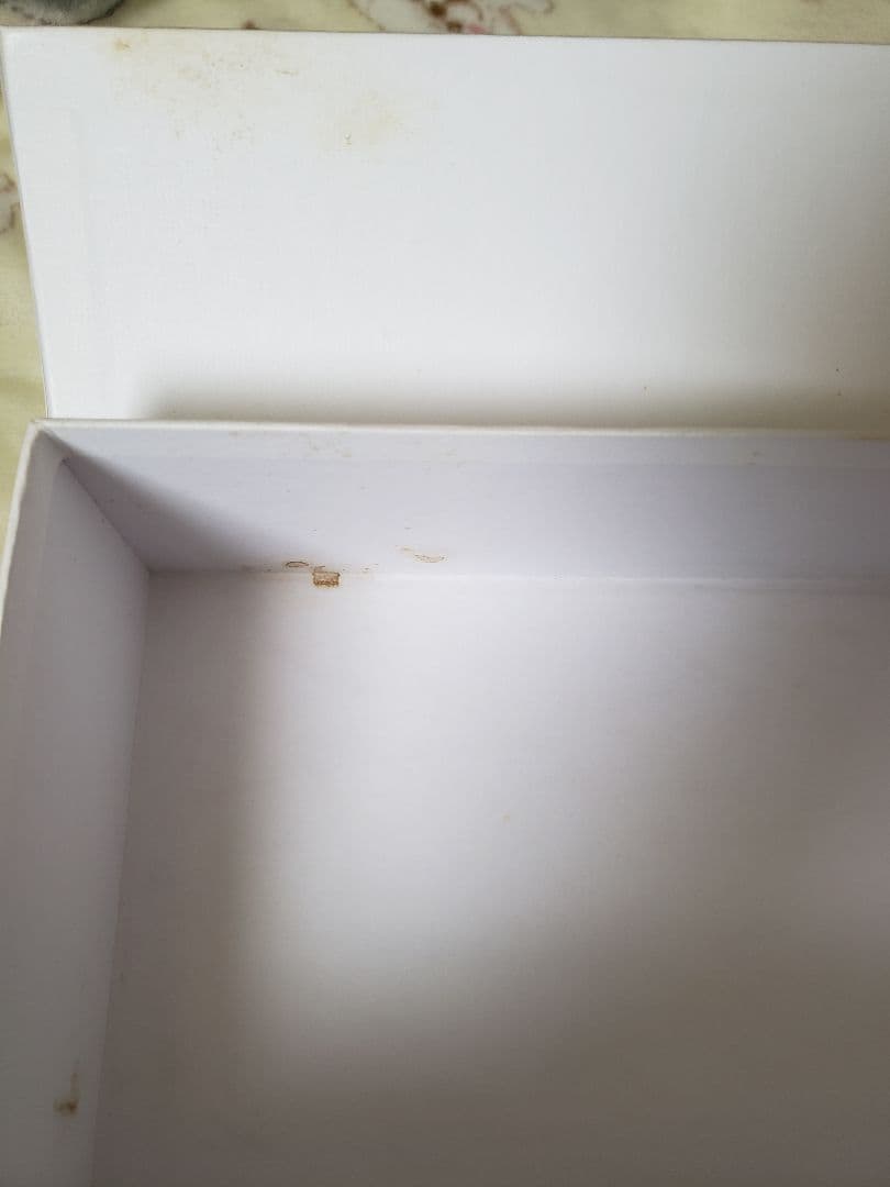 ラグラグさん専用 REUGE シリンダー式オルゴール 木製ケース付き