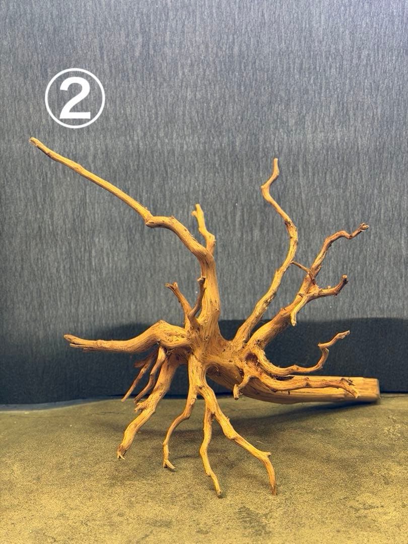 スマトラウッド・ブランチウッド 流木(大)2本組SET アクアリウム＆テラリウム