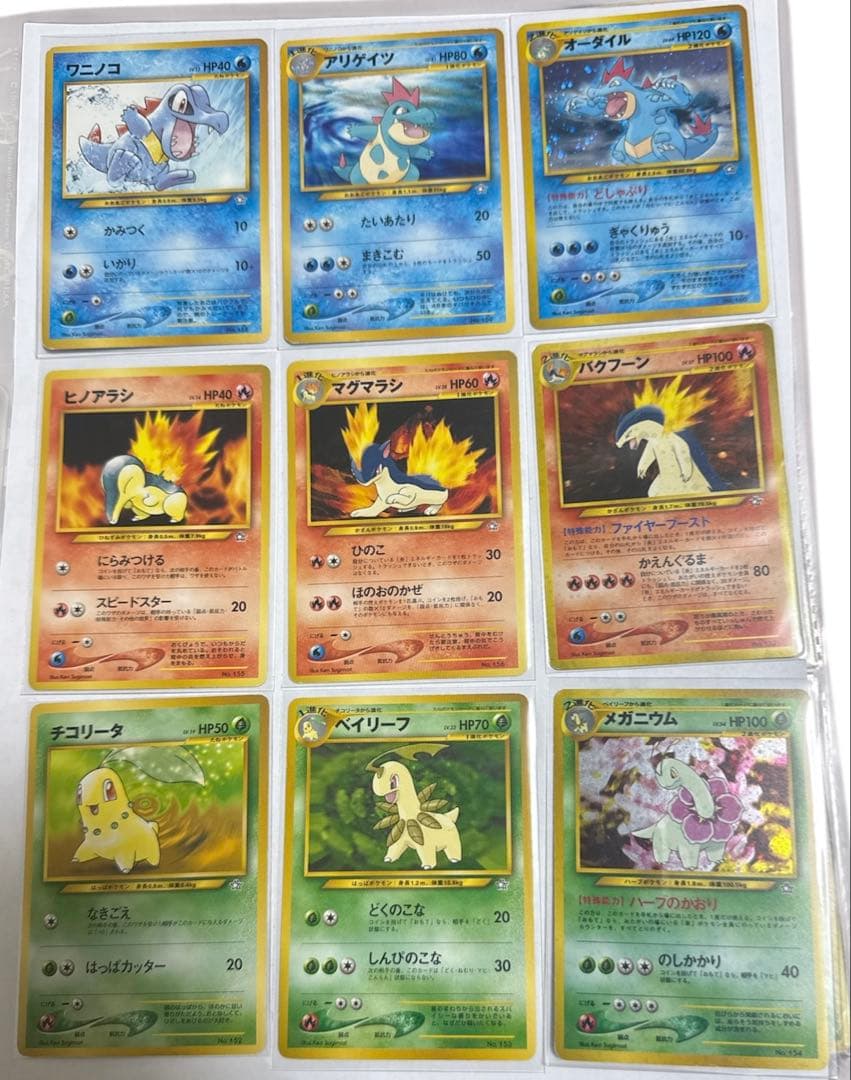 Neoプレミアムファイル：メガニウム/バクフーン/オーダイル ポケモン