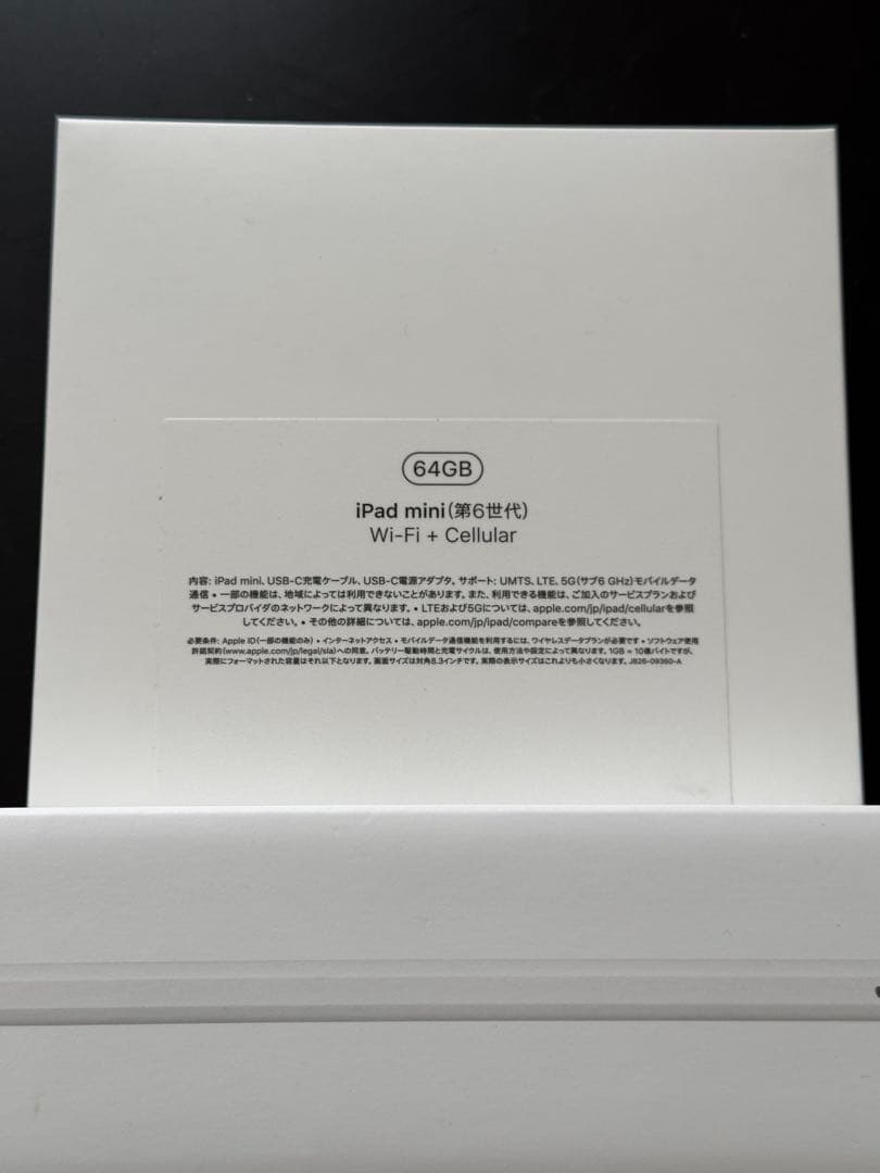 【美品】iPad mini6 64GB セルラーモデル スペースグレイ