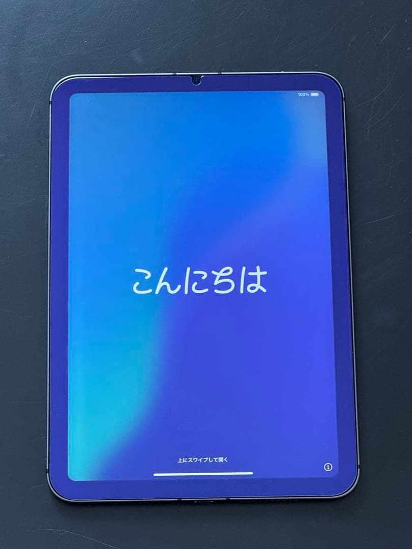 【美品】iPad mini6 64GB セルラーモデル スペースグレイ