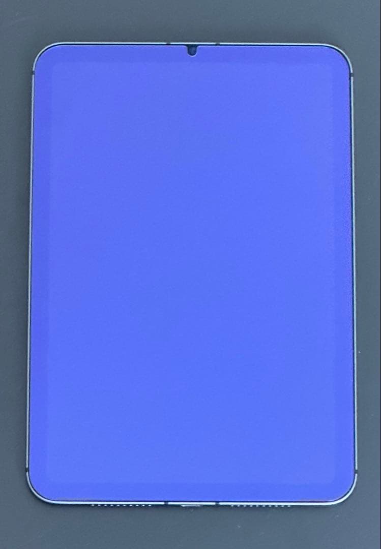 【美品】iPad mini6 64GB セルラーモデル スペースグレイ