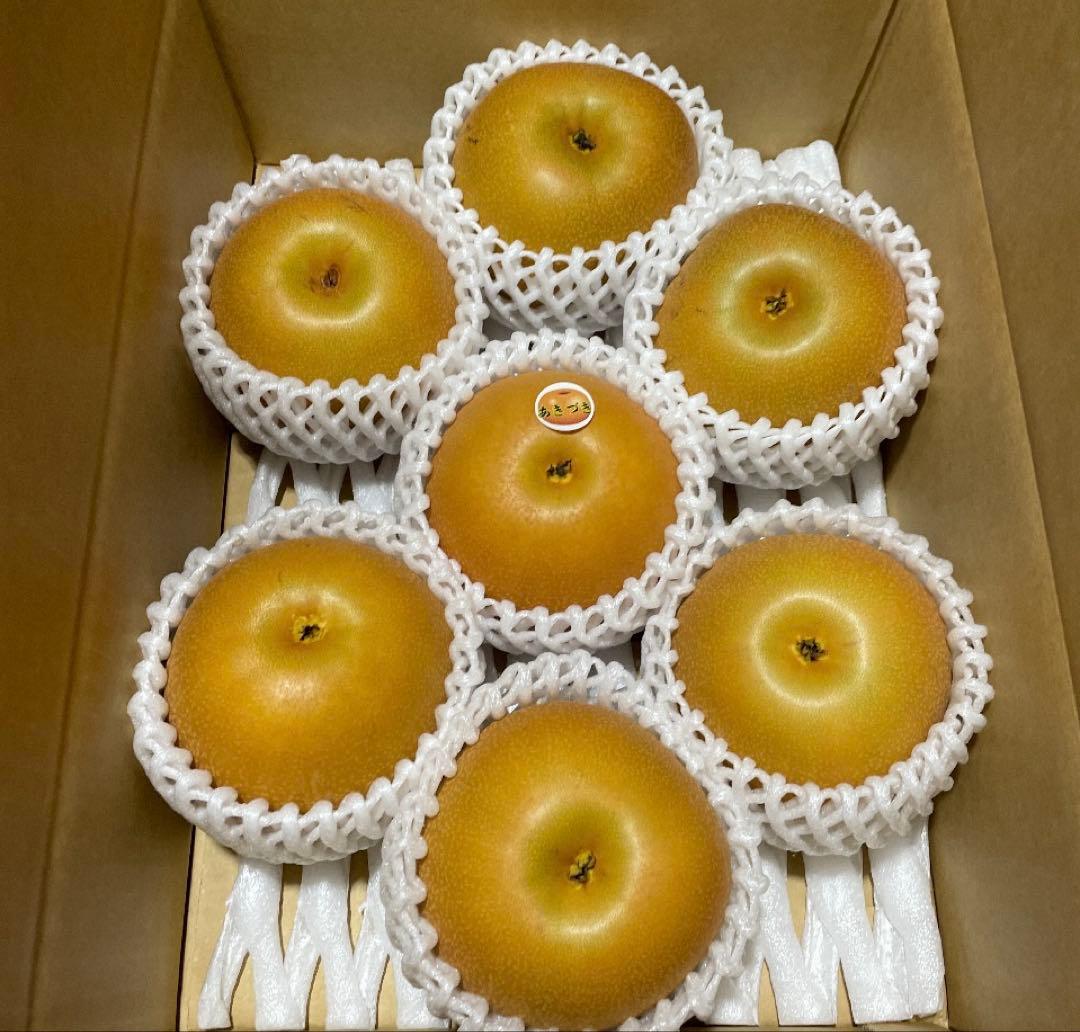 ふなぷー様10キロ