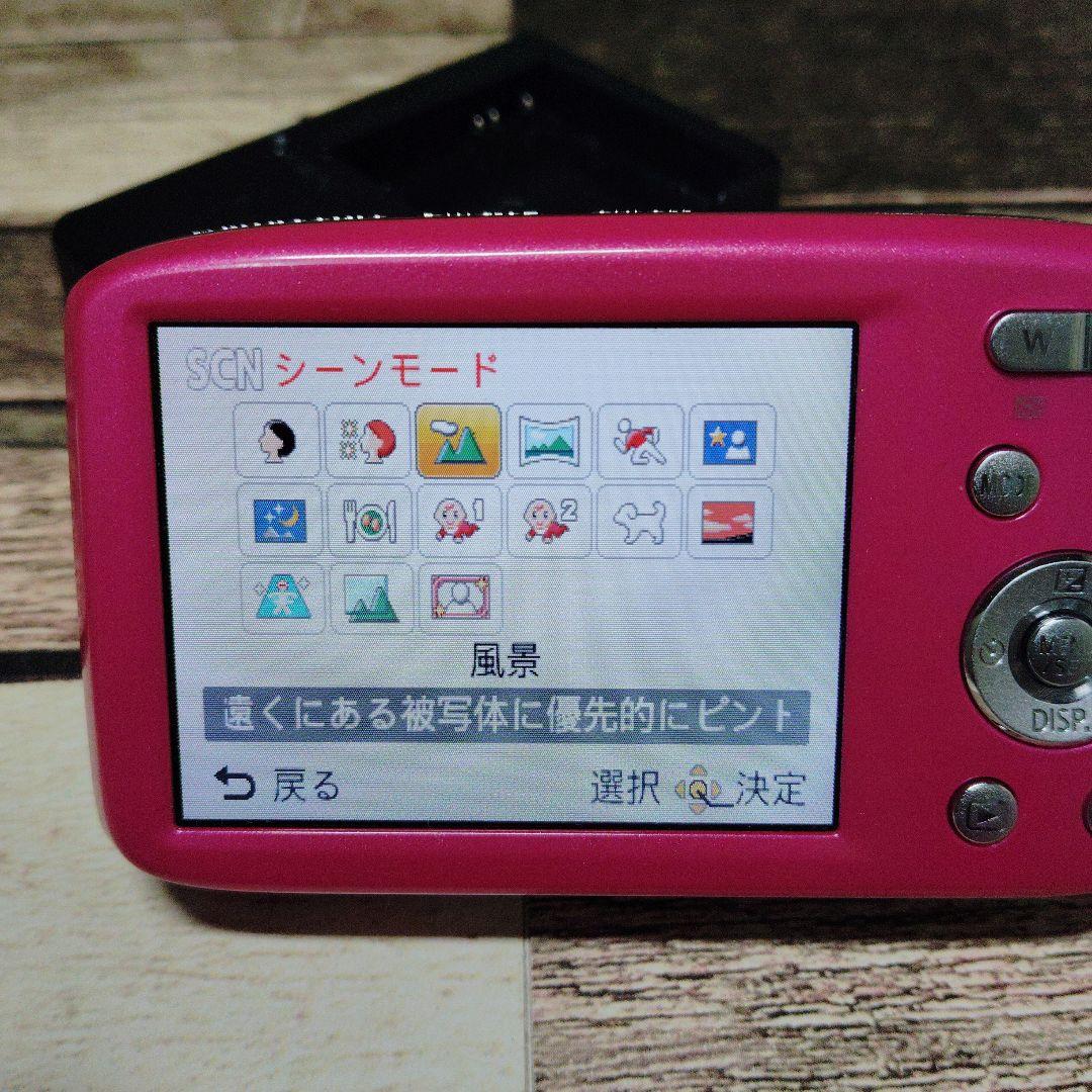 【美品】Panasonic LUMIX DMC-S2