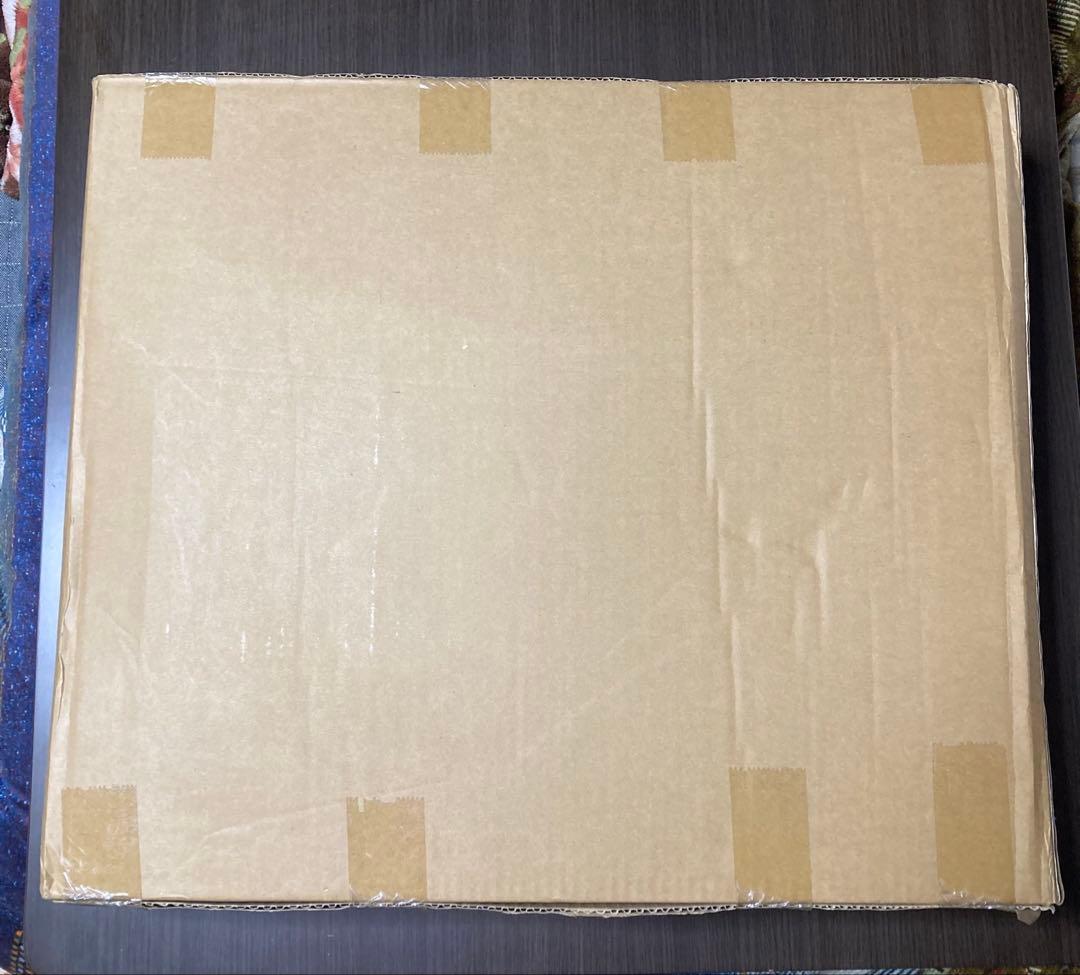 ホットカーペット【新品未使用】Kashiba KTG-41 290×195cm