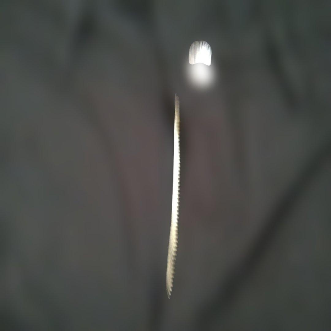 最終a bathing ape エイプ　カーゴパンツ黒S　ペインター