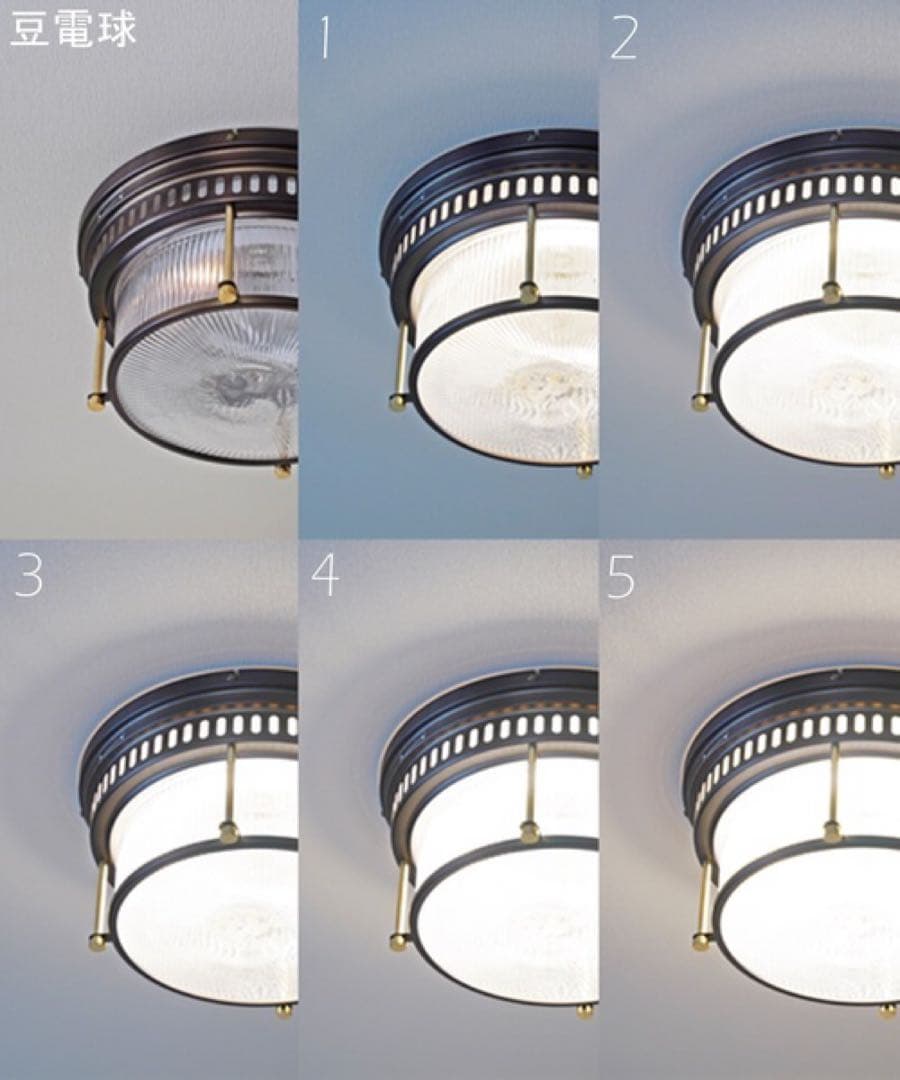 ジャーナルスタンダードファニチャー/ロチェスターシーリングライト