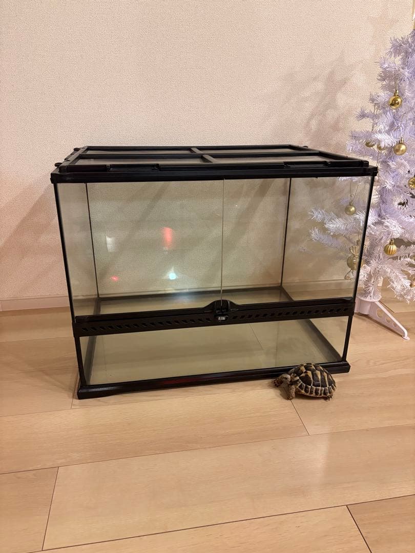 中型透明ガラス飼育ケージ