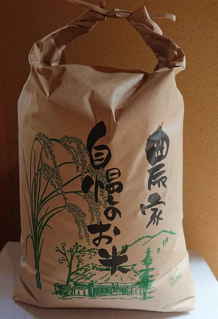 キヌヒカリ ２０キロ 精米済み 白米 お米