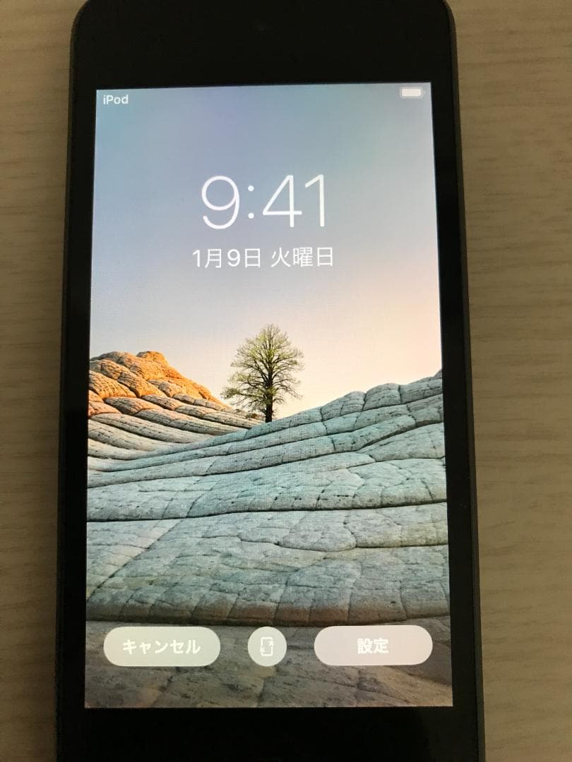 Apple iPod Touch 第７世代　256GB おまけ付き