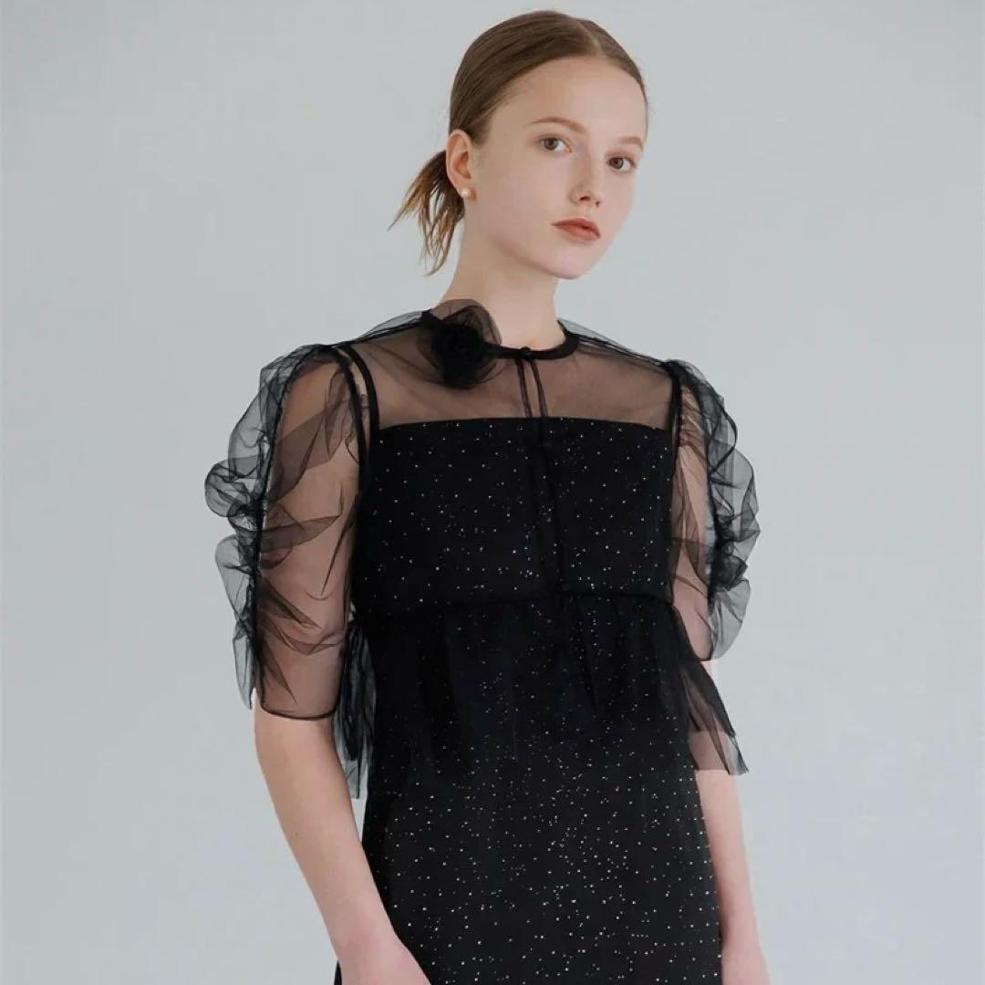 LEJA チュールフラワーモチーフドットストーンIラインワンピースドレス